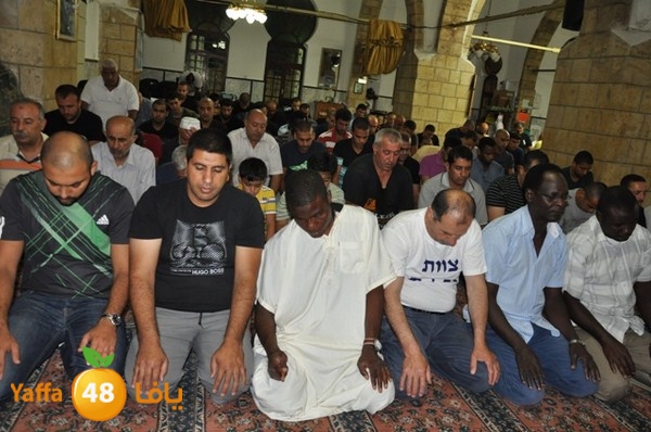 trawe7 7san bek 715 (34).JPG